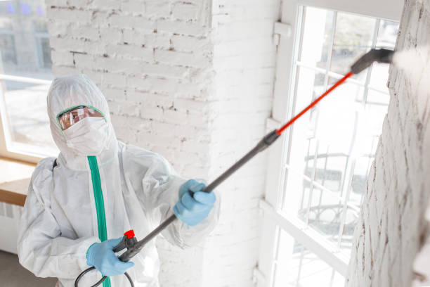 Best Comprehensive Air Testing for Mold Contaminants  in Flatwoods, KY