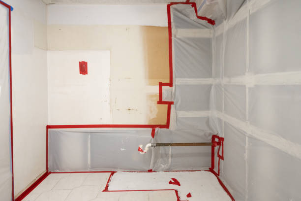 Best Mold Prevention Services  in Flatwoods, KY