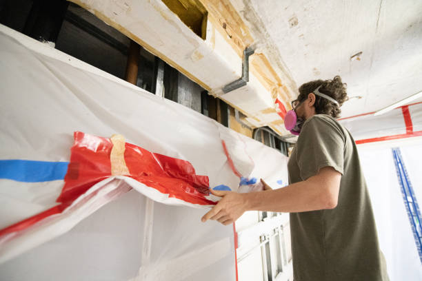 Best Crawl Space Mold Remediation  in Flatwoods, KY