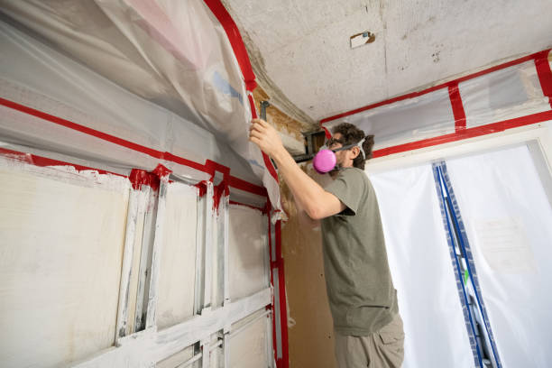Best Air Quality Testing for Mold Spores  in Flatwoods, KY
