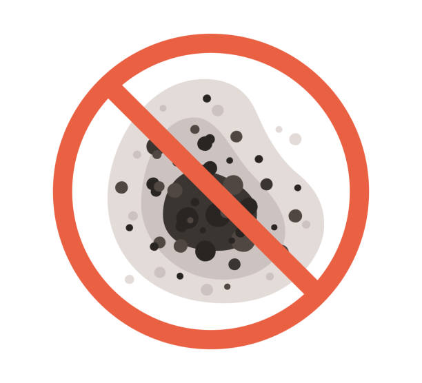 Best Mold Removal for HVAC Installations  in Flatwoods, KY